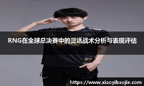 RNG在全球总决赛中的灵活战术分析与表现评估